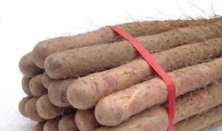 山药怎么保存久 山药怎样保存时间长不坏?