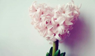 句句戳心窝话（句句戳心的一句话）