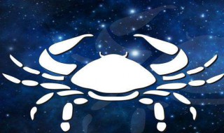 十二星座分别是喜欢什么（十二星座分别是喜欢什么人）