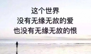 放鸽子说说心情短语（放鸽子的心情说说）