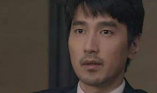 平凡的荣耀演员表（平凡的荣耀演员表电视猫）