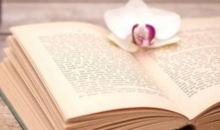 读书的意义 读书的意义作文800字