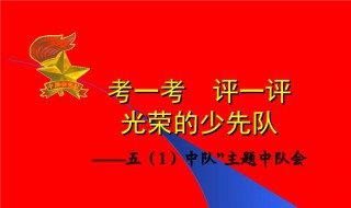 少代会感言100字（少代会感言100字怎么写）