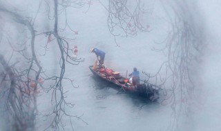 渔歌子的诗意（渔歌子的诗意简短20字）