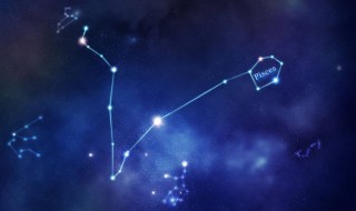 八月十二星座是什么星座（八月十二星座是什么星座的）