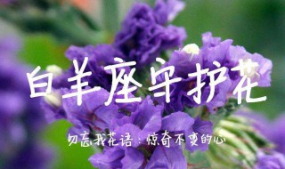 十二星座分别有12个什么星座 十二星座都有哪12个星座?