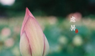 处暑节气吃什么传统食物（处暑节气的含义是什么吃什么）