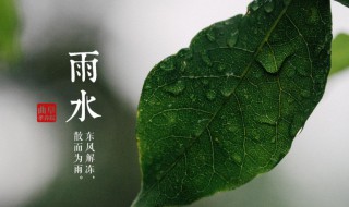 雨水节气是什么意思 雨水节气是什么意思呢