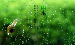 雨水节气推荐语（雨水节气推荐语怎么写）