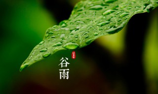 谷雨节气是什么意思（谷雨节气是什么意思?）