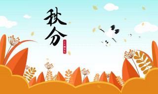 秋分节气吃什么（秋分节气吃什么最好）