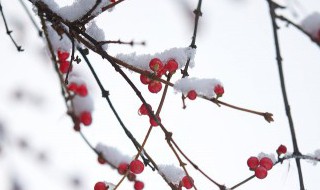 小雪节气推荐语（小雪节气推荐语怎么写）