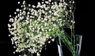 满天星需要醒花吗 满天星需要醒花吗?