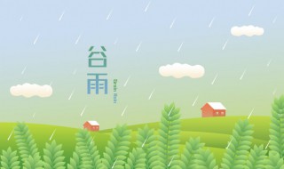 北方谷雨种什么（北方谷雨种什么蔬菜）