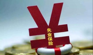 如何申请失业金补助金（申请失业金补助金怎么申请）