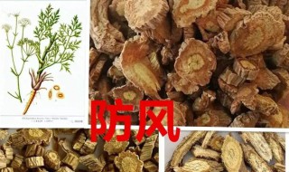 防风的作用与功效 防风通圣丸的作用与功效