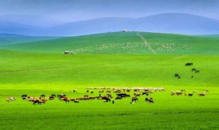 草原旅游景点 附近大草原旅游景点