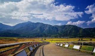 香格里拉旅游景点（香格里拉旅游景点海拔高度）