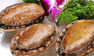 鲍鱼怎么保存运输（鲍鱼怎么保存运输时间长）