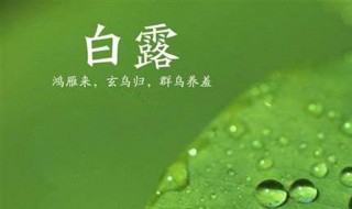 白露出生取名 白露出生取名字