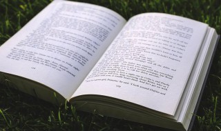 2022虎年公司祝福语（2022虎年祝福语文案）