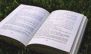 关于春节给奶奶说的祝福话（过年给奶奶说什么祝福语）