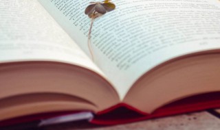 各位亲友们春节祝福 春节祝亲朋好友的祝福语