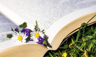 春节到来幽默祝福（春节最幽默的祝福短信）