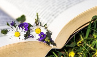 春节送来好运的祝福（春节送来好运的祝福语）