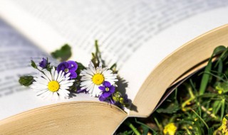 春节快乐的祝福语言 春节快乐的祝福语言有哪些