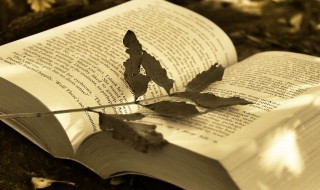 最忠诚的春节祝福（最忠诚的春节祝福语是什么）