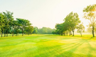 最舒服的早晨说说心情 早晨很舒服的句子有哪些