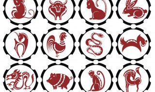 82年属狗大运什么时候（82年属狗大运什么时候开始）