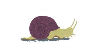 蜗牛冬天怎么养（蜗牛冬天怎么养护）