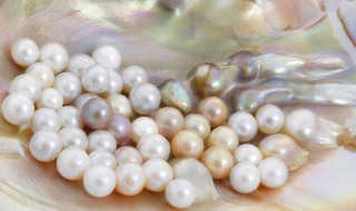 珍珠是怎么养出来的 人工养珍珠是怎么养的