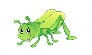 蝗虫怎么养殖技术（蝗虫怎么养殖技术视频）