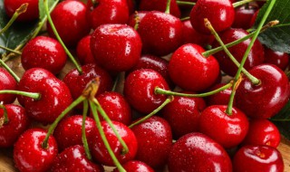 车厘子花束的寓意（车厘子花束的寓意100个）