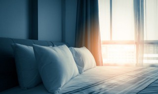 梦见白色的小狗是什么意思（女人梦见狗是吉兆）