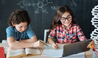 海猫是什么 海猫是什么海鲜