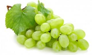 晴王葡萄有籽吗 晴王葡萄有籽吗?