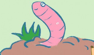 蚯蚓的寓意和象征 蚯蚓象征着什么意义