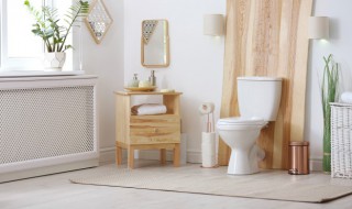 厕所里的灶马蟋从哪里进来的 灶马蟋的危害在房间