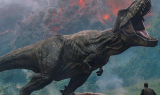 霸王龙长什么样子（霸王龙长什么样子的图片）