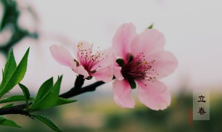 打春怎么躲春（打春躲星怎么躲）