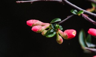 躲春科学吗（躲春有科学道理吗）