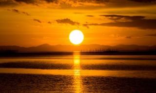 蚕需要晒太阳吗 蚕需要晒太阳吗冬天