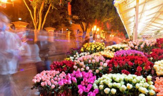 十二朵玫瑰花的寓意（十二朵玫瑰花的寓意是什么）