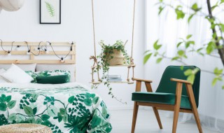 蜘蛛进家里有什么寓意（蜘蛛进家里代表什么）