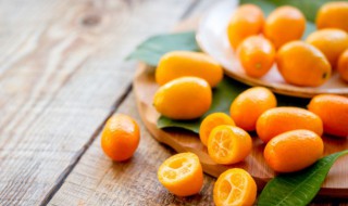 家里放桔子树的寓意（家里放桔子树的寓意好吗）