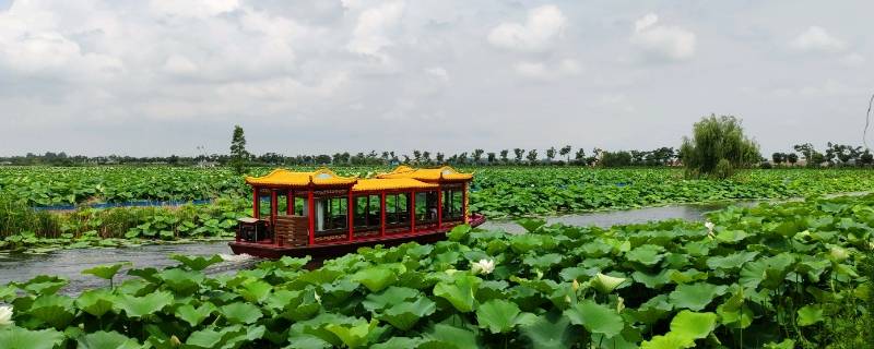 金湖县景点 金湖县旅游